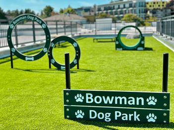 Dog run